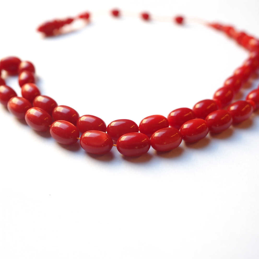 Handcrafted French Galalith Tasbeeh – WATD172